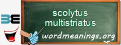 WordMeaning blackboard for scolytus multistriatus